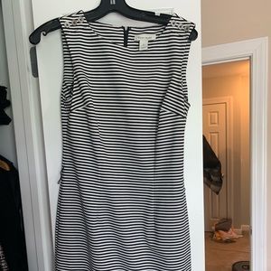 White House Black Market dresses and skirts